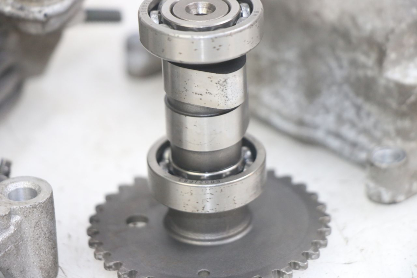 photo de CULASSE JM MOTORS EVOLIS 4T 50 (2018 - 2022) - Vue rapprochée