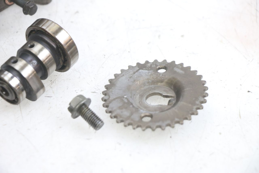 photo de CULASSE TNT MOTOR FASTINO 4T 50 (2013 - 2019) - Marquages et références