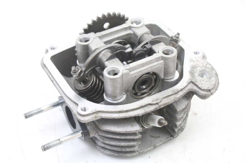 photo de CULASSE LONGJIA SHARPY 125 (2020 - 2024) - Marquages et références