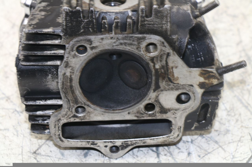 photo de CULASSE PANTHERA PANTHERA 110 (2010 - 2017) - Gros plan technique