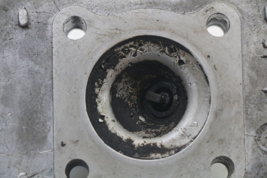 photo de CULASSE PEUGEOT LUDIX 50 (2005 - 2007) - Vue d’ensemble