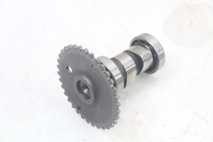 photo de CULASSE TNT MOTOR ROMA 10' 4T 50 (2007 - 2018) - Zoom composants