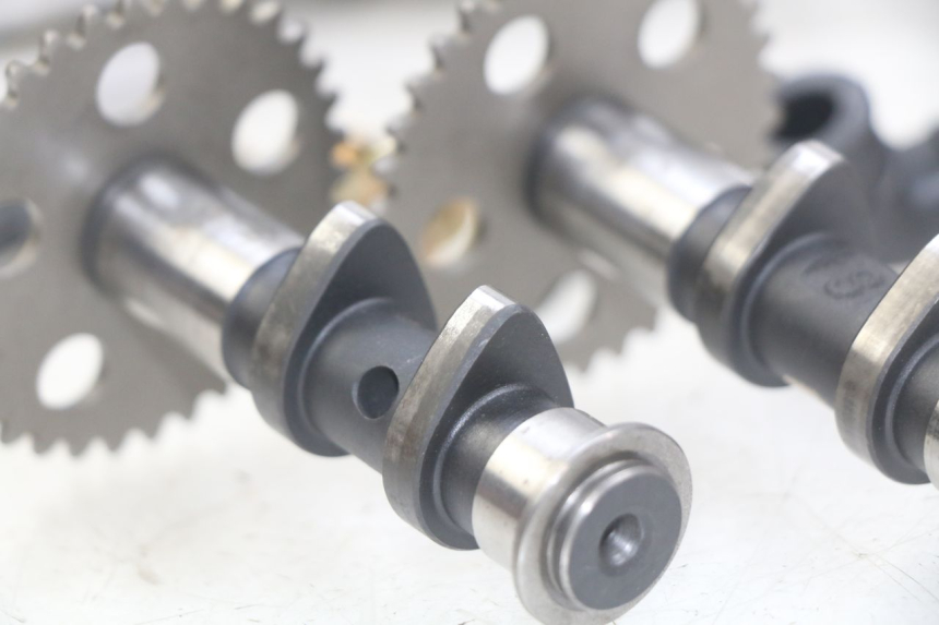 photo de CULASSE APRILIA SCARABEO LIGHT 125 (2007 - 2011) - Vue principale