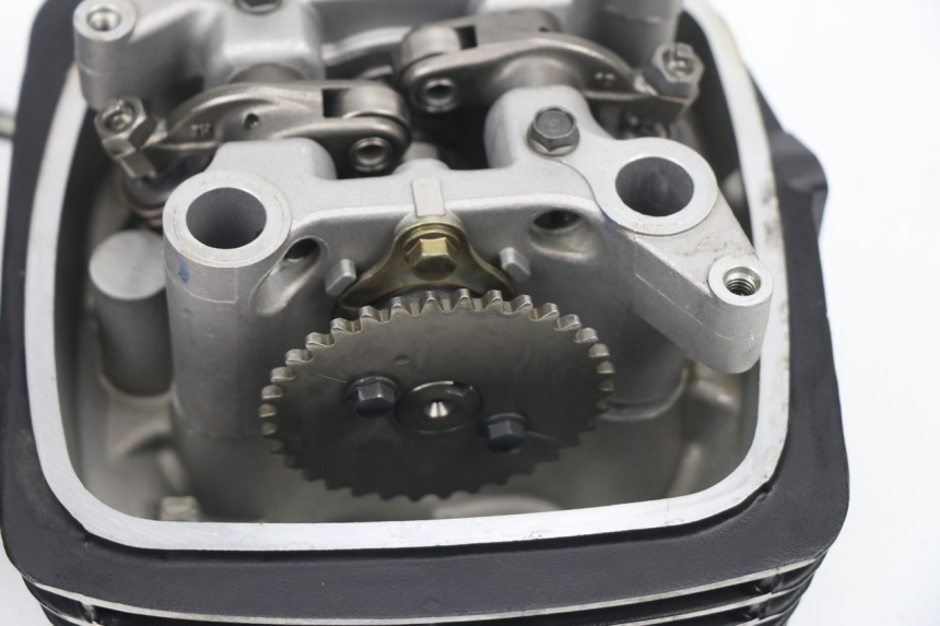 photo de CULASSE MASAI SCRAMBLER 125 (2018 - 2020) - Vue d’ensemble