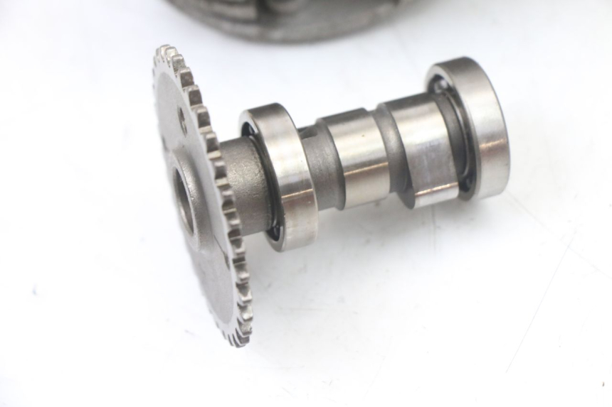 photo de CULASSE TNT MOTOR ROMA 10' 4T 50 (2019 - 2022) - Vue produit