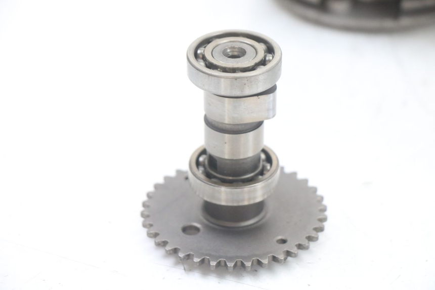 photo de CULASSE TNT MOTOR ROMA 10' 4T 50 (2019 - 2022) - Détails caractéristiques