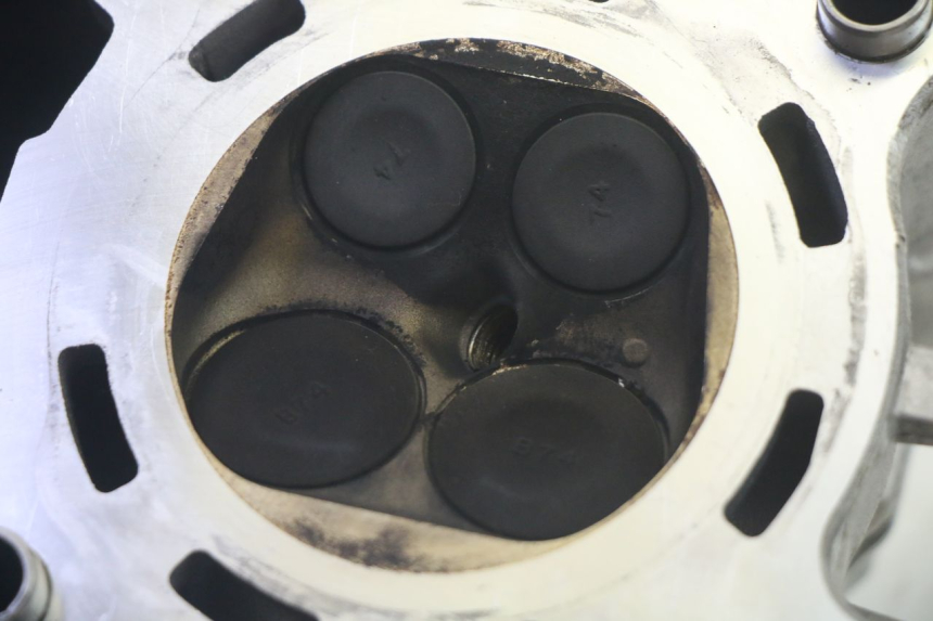 photo de CULASSE YAMAHA TRICITY 300 (2020 - 2024) - Angle alternatif