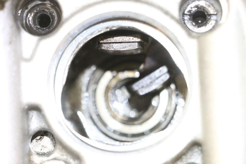 photo de CULASSE YAMAHA YFM R RAPTOR 250 (2008 - 2014) - Zoom état d’usage