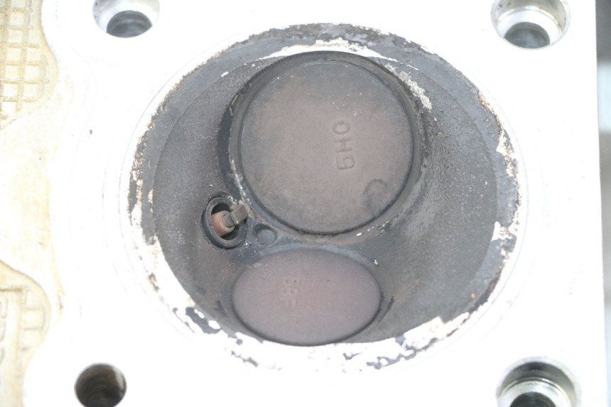 photo de CULASSE YAMAHA YFM R RAPTOR 250 (2008 - 2014) - Vue d’ensemble