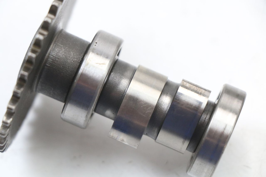 photo de CULASSE UNIVERSAL BIKE ZN50QT-11B 50 (2018 - 2021) - Marquages et références