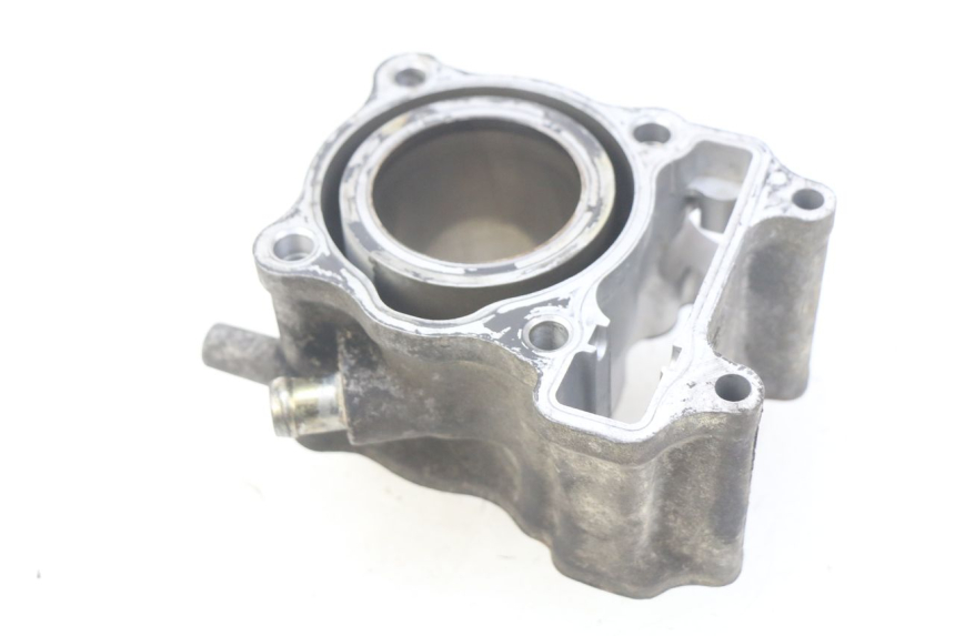 photo de CYLINDRE HONDA FES PANTHEON 125 (2003 - 2007) - Vue principale