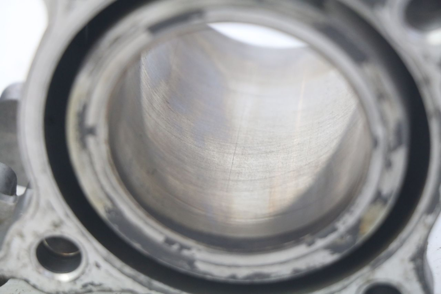 photo de CYLINDRE HONDA FES PANTHEON 125 (2003 - 2007) - Gros plan technique