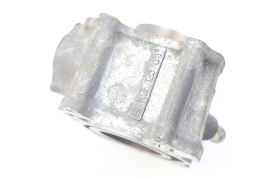 photo de CYLINDRE HONDA FES PANTHEON 125 (2003 - 2007) - Points de fixation