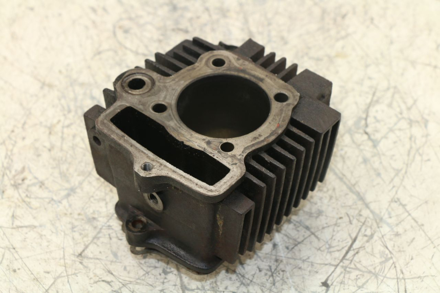 photo de CYLINDRE PANTHERA PANTHERA 110 (2010 - 2017) - Vue principale