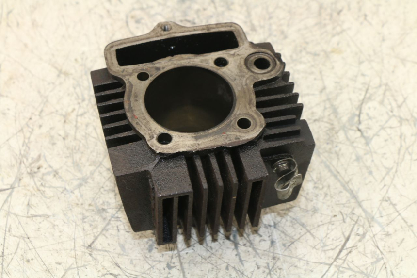 photo de CYLINDRE PANTHERA PANTHERA 110 (2010 - 2017) - Détails caractéristiques