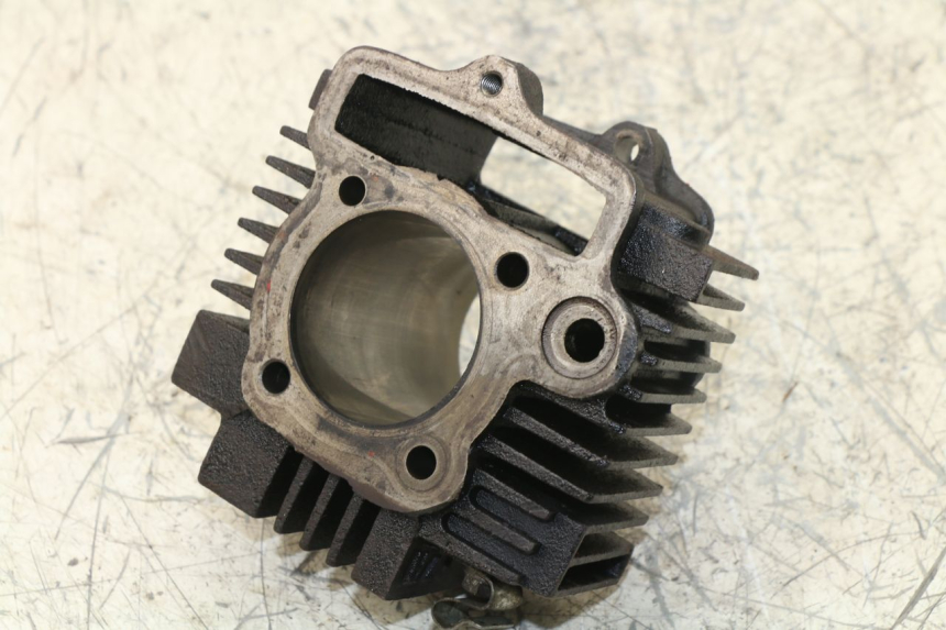 photo de CYLINDRE PANTHERA PANTHERA 110 (2010 - 2017) - Zoom composants