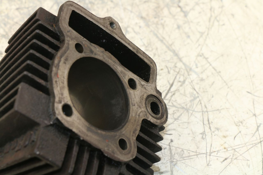 photo de CYLINDRE PANTHERA PANTHERA 110 (2010 - 2017) - Autre angle de vue