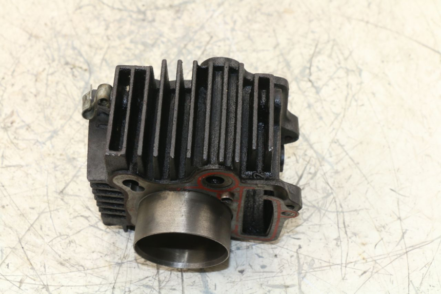 photo de CYLINDRE PANTHERA PANTHERA 110 (2010 - 2017) - Gros plan technique