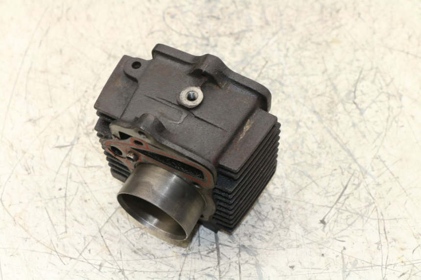 photo de CYLINDRE PANTHERA PANTHERA 110 (2010 - 2017) - Vue d’ensemble