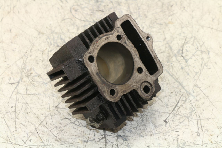 photo de CYLINDRE PANTHERA PANTHERA 110 (2010 - 2017) - Points de fixation