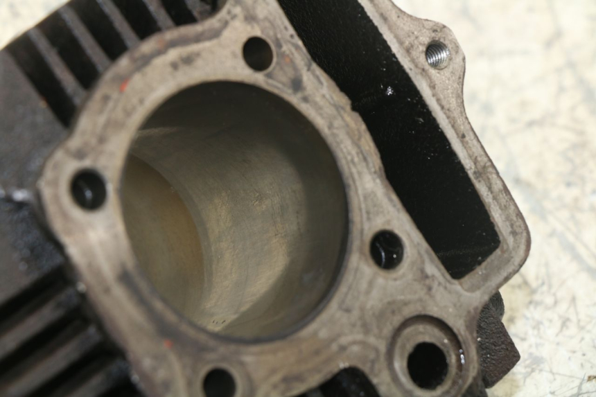 photo de CYLINDRE PANTHERA PANTHERA 110 (2010 - 2017) - État de surface