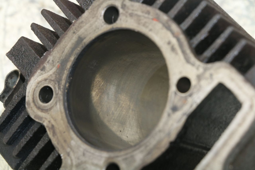 photo de CYLINDRE PANTHERA PANTHERA 110 (2010 - 2017) - Pièce contrôlée