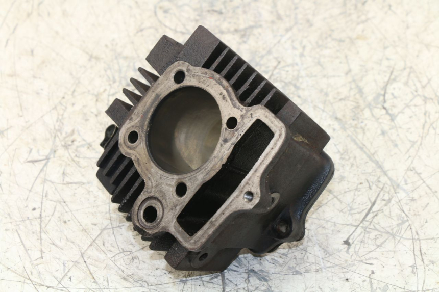 photo de CYLINDRE PANTHERA PANTHERA 110 (2010 - 2017) - Marquages et références