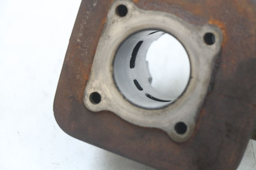 photo de CYLINDRE PEUGEOT LUDIX 50 (2005 - 2007) - Marquages et références