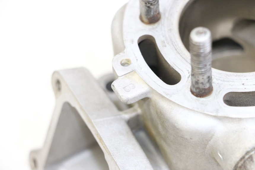 photo de CYLINDRE PISTON KAWASAKI KX 85 (2014 - 2021) - Marquages et références