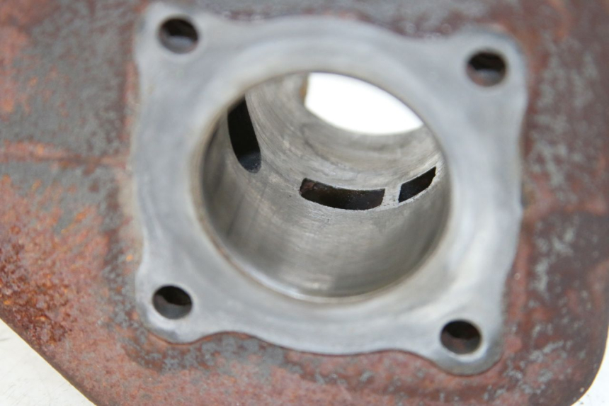 photo de CYLINDRE PISTON PEUGEOT LUDIX 50 (2005 - 2007) - Vue d’ensemble