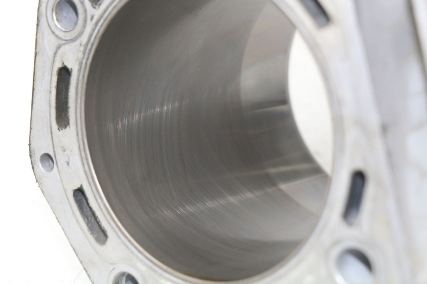 photo de CYLINDRE PISTON PEUGEOT SATELIS 500 (2007 - 2013) - Gros plan technique