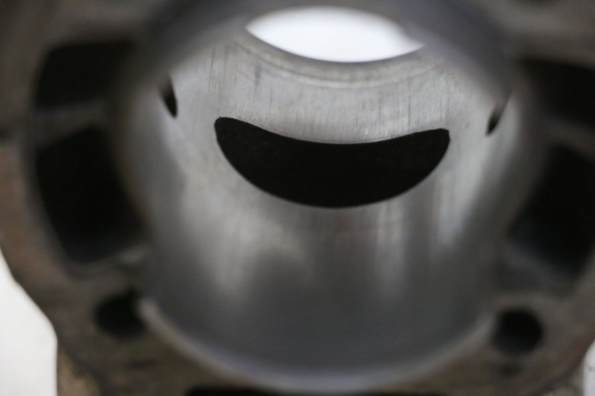 photo de CYLINDRE PISTON DERBI SENDA SM DRD 50 (2008 - 2013) - Gros plan technique