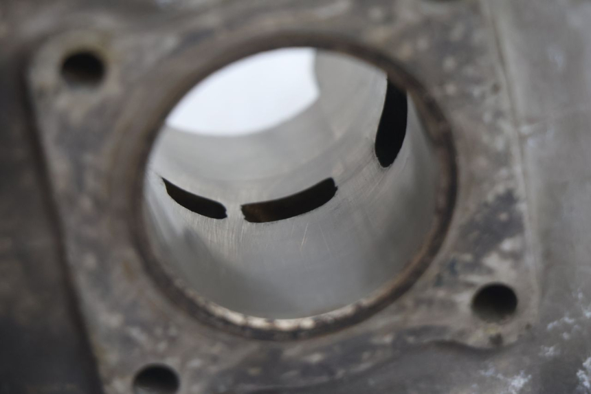 photo de CYLINDRE PISTON PEUGEOT TREKKER 50 (1995 - 2004) - Vue d’ensemble
