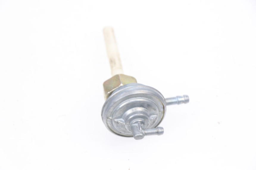 photo de DEPRESSION RESERVOIR LONGJIA DIGITA 2T 50 (2006 - 2018) - Détail de la pièce