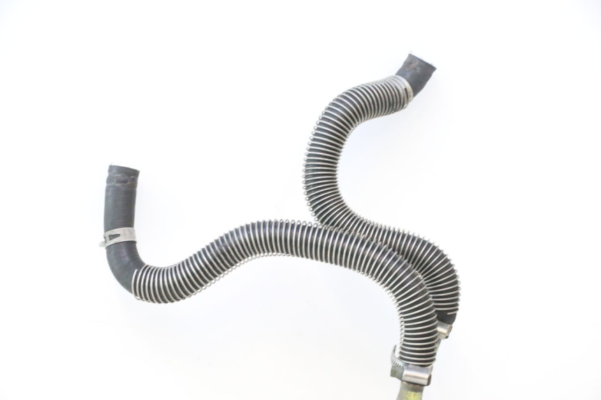 photo de DURITE RADIATEUR HONDA SH 125 (2001 - 2003) - Détail de la pièce
