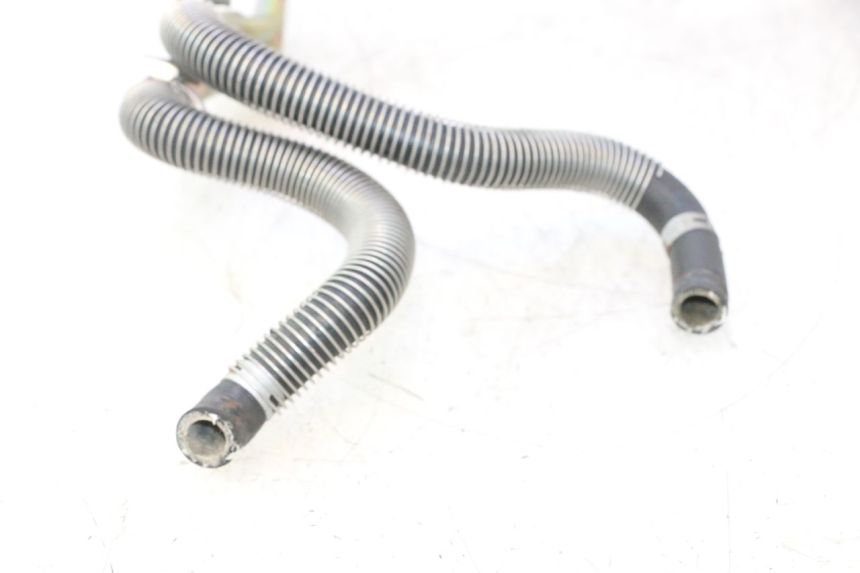 photo de DURITE RADIATEUR HONDA SH 125 (2001 - 2003) - Pièce contrôlée