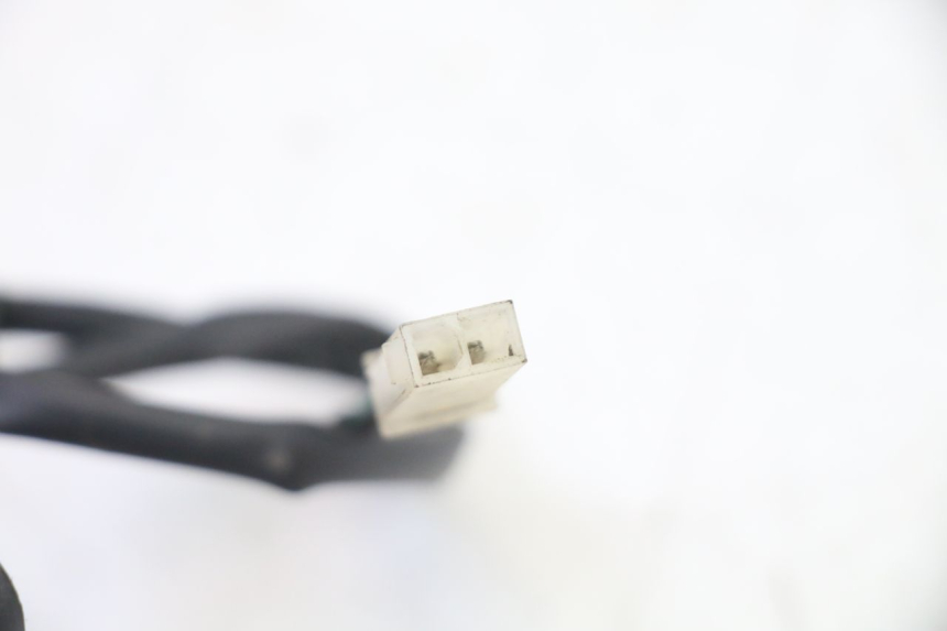 photo de ECLAIRAGE DE PLAQUE PEUGEOT SATELIS 250 (2006 - 2012) - Gros plan technique