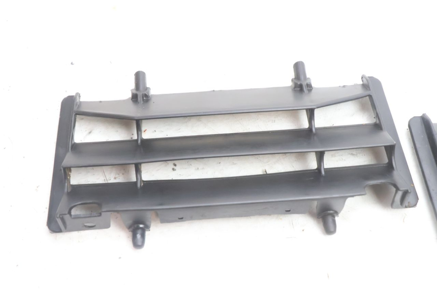 photo de ECOPE RADIATEUR RIEJU MRT PRO SUPERMOTARD 50 (2007 - 2018) - Détail de la pièce