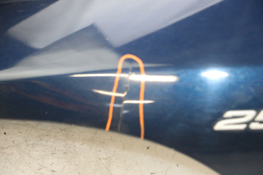 photo de FACE AVANT PIAGGIO MP3 RL 250 (2006 - 2010) - Aperçu profil