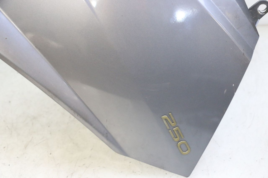 photo de FACE AVANT PEUGEOT SATELIS 250 (2006 - 2012) - Pièce contrôlée