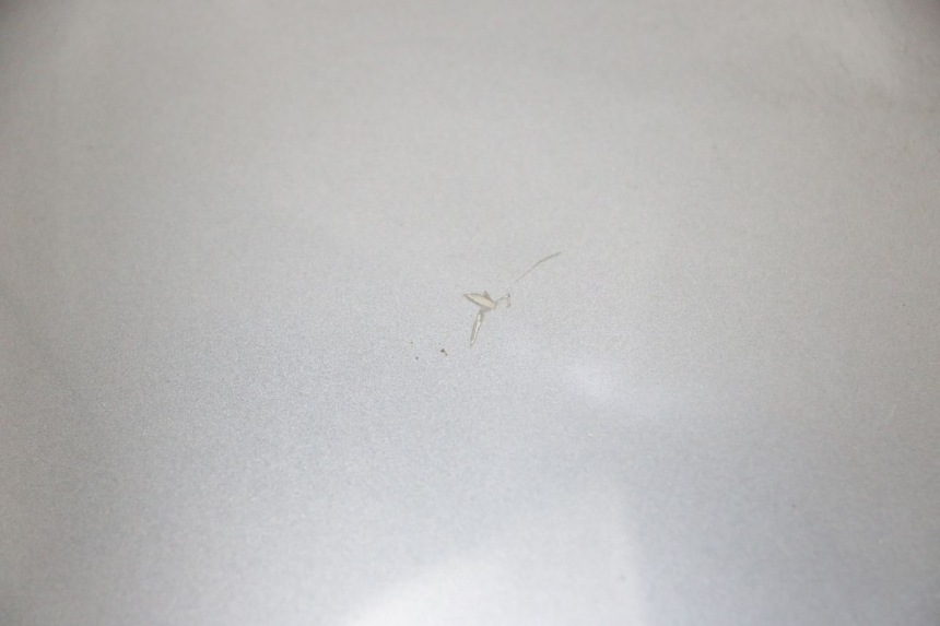 photo de FACE AVANT SUPERIEUR EFUN PUSA 1 - État de surface