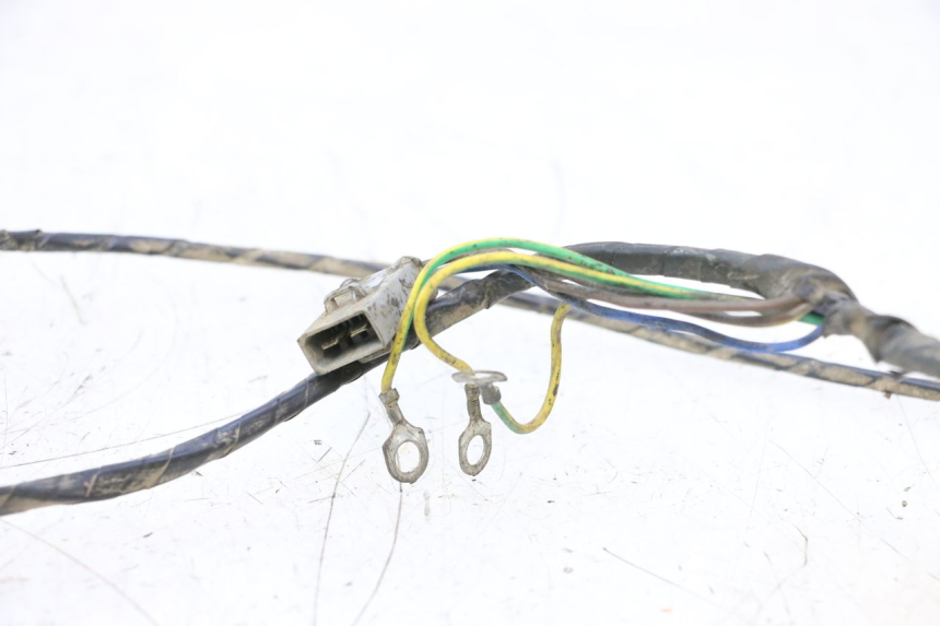 photo de FAISCEAU PEUGEOT 103 SPX CLIP 50 (1989 - 1992) - Détail de la pièce