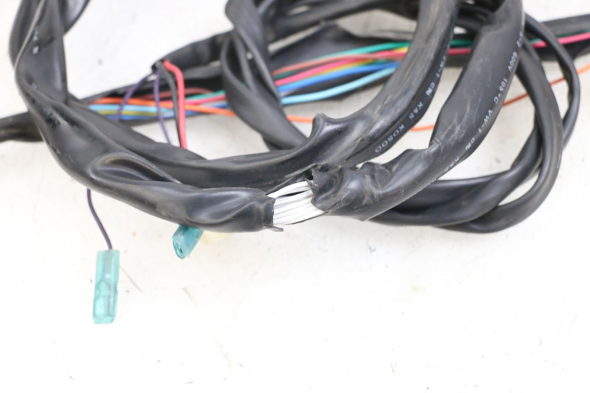 photo de Wiring harness E-MAX 80L 1 (2011 - 2014) - Zoom état d’usage