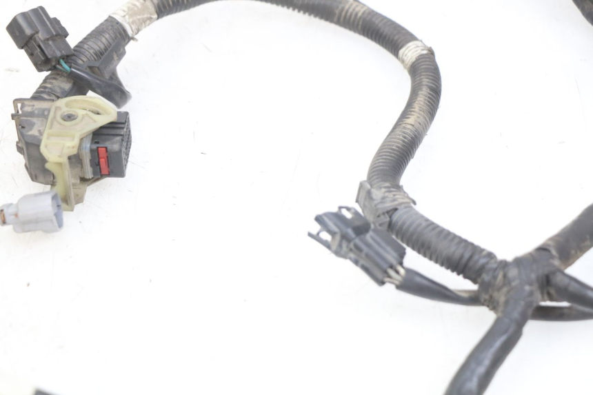 photo de FAISCEAU KYMCO AGILITY 16+ 4T 50 (2018 - 2023) - Vue d’ensemble