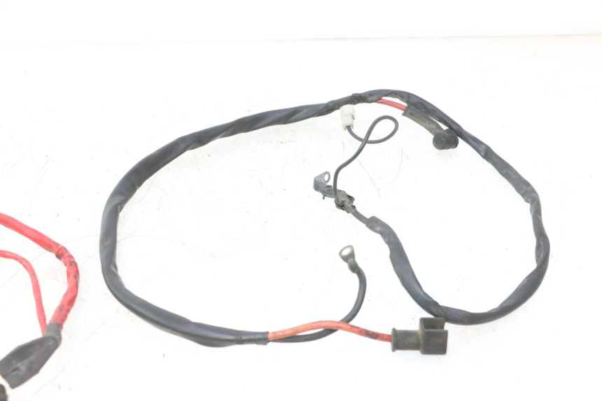 photo de FAISCEAU BATTERIE YAMAHA YP MAJESTY 125 (2002 - 2006) - Vue d’ensemble
