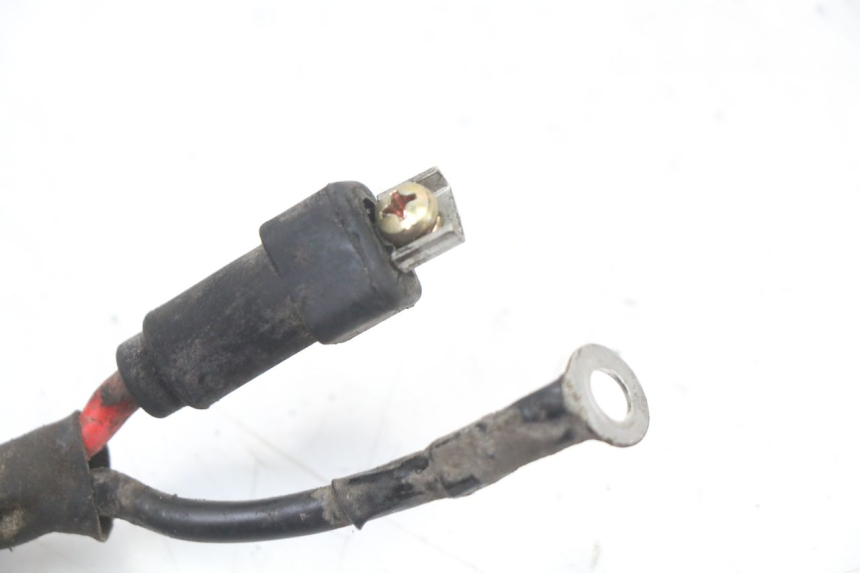 photo de FAISCEAU BATTERIE PIAGGIO ZIP 2T 50 (2009 - 2019) - Détail de la pièce