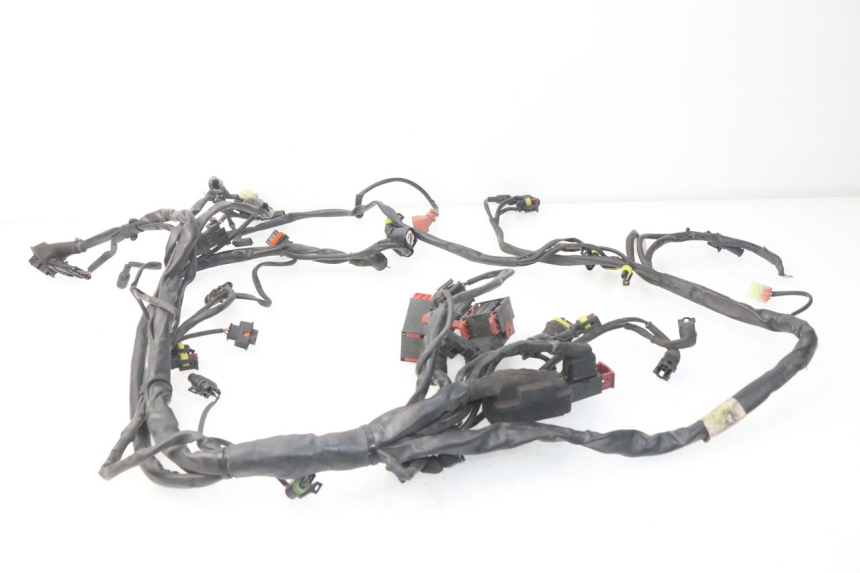 photo de FAISCEAU MV AGUSTA BRUTALE R WALLY 910 (2008 - 2008) - Gros plan technique