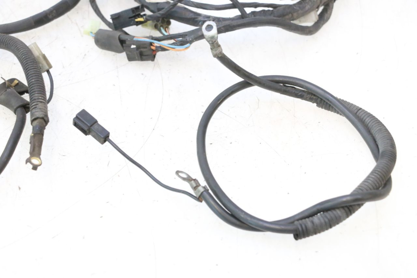 photo de FAISCEAU SUZUKI BURGMAN 125 (2007 - 2014) - Détails caractéristiques