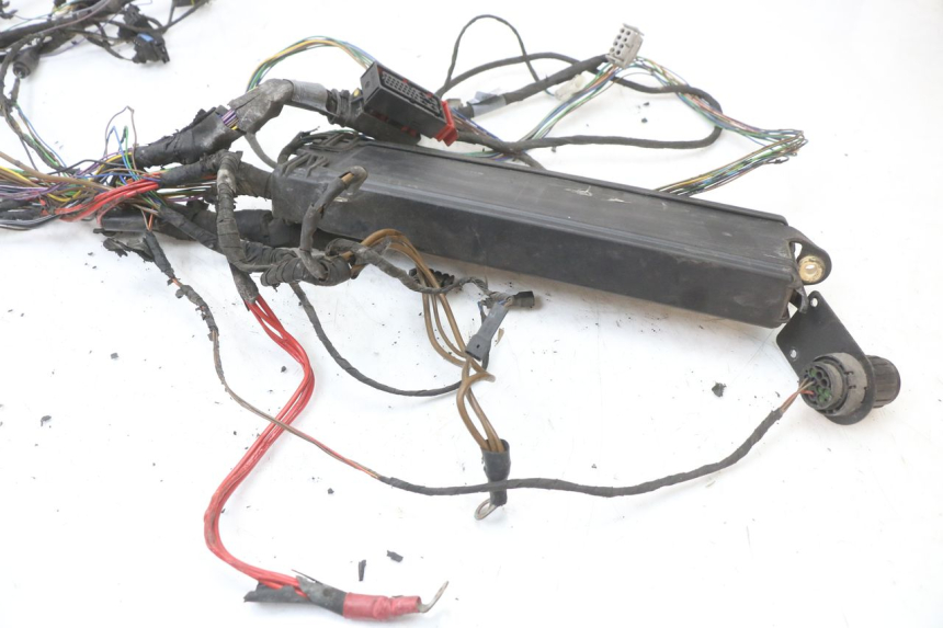 photo de FAISCEAU BMW C1 125 (2000 - 2003) - Marquages et références