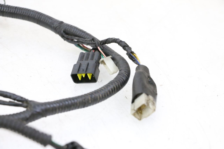 photo de FAISCEAU ORCAL CAVARO 4T 50 (2019 - 2023) - Vue produit